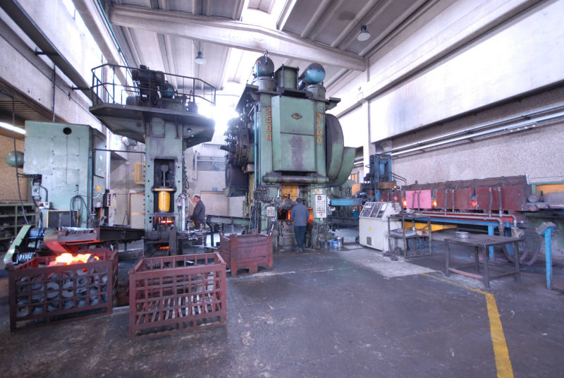 Gesenkschmiedelinie 2500 t Presse